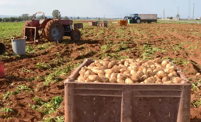 Τμ. Γεωργίας: Δέχεται αιτήσεις για ζημιές από ανεμοθύελλα σε Λάρνακα-Αμμόχωστο