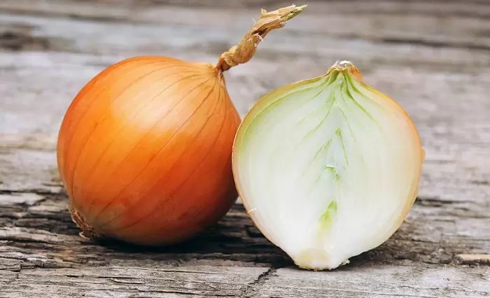 Ο τουρκικός στρατός εισβάλλει σε αποθήκες και κατάσχει για κρεμμύδια