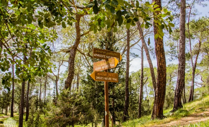 Η Κύπρος στις επιλογές του Travel + Leisure με διαφορετικό «διαβατήριο»