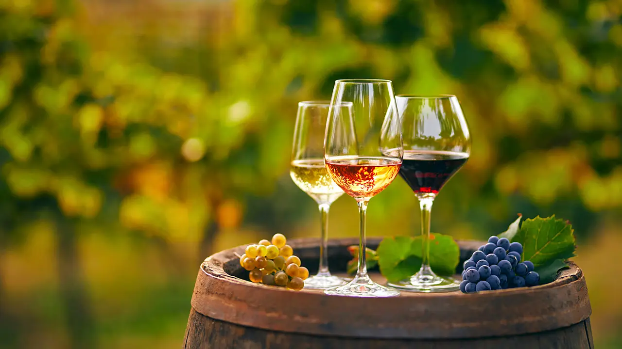 Σχολή Sommelier ιδρύεται για πρώτη φορά στην Κύπρο