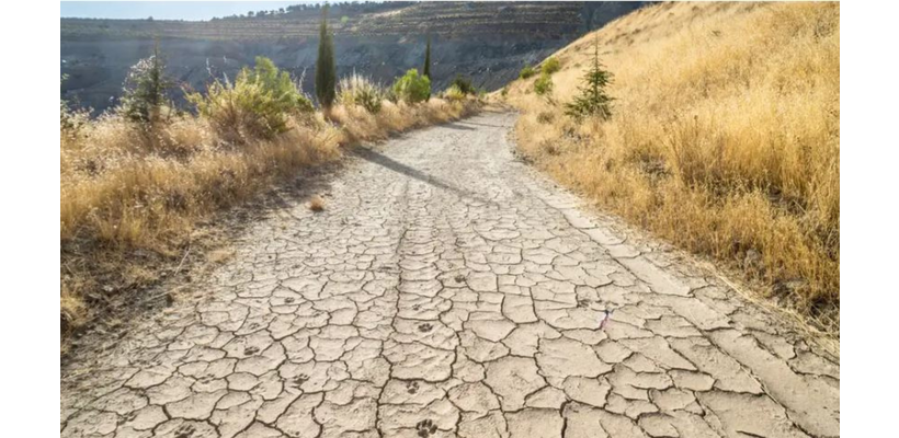 €4,6 εκατ. στους αγρότες που επλήγησαν από την ανομβρία του 2025