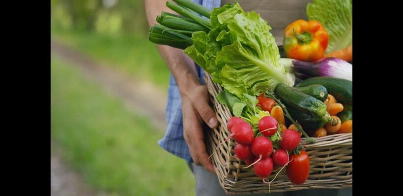 FAO: Μια παρατεταμένη κρίση στα Στενά του Ορμούζ θέτει σε κίνδυνο τα αγροδιατροφικά συστήματα