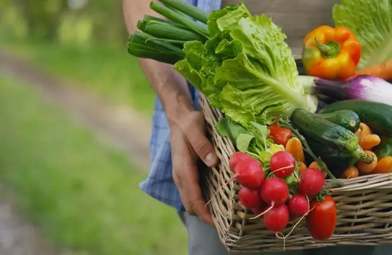 FAO: Μια παρατεταμένη κρίση στα Στενά του Ορμούζ θέτει σε κίνδυνο τα αγροδιατροφικά συστήματα