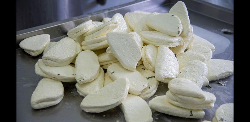 Σ. Καδής για δημοσιεύματα περί εισαγωγών αιγοπροβάτων: Δεν τίθεται θέμα για το χαλούμι ΠΟΠ