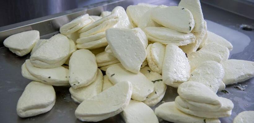 Σ. Καδής για δημοσιεύματα περί εισαγωγών αιγοπροβάτων: Δεν τίθεται θέμα για το χαλούμι ΠΟΠ