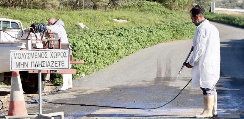 Αφθώδης πυρετός: Ξεκινούν την επόμενη εβδομάδα οι προκαταβολές των €50.000 στους πληγέντες κτηνοτρόφους