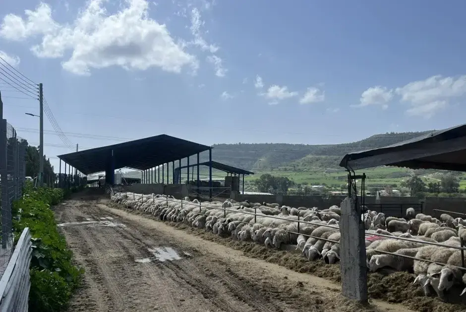Συγκρατημένη ικανοποίηση αλλά και προβληματισμός στους κτηνοτρόφους μετά τη σύσκεψη με το Υπουργείο