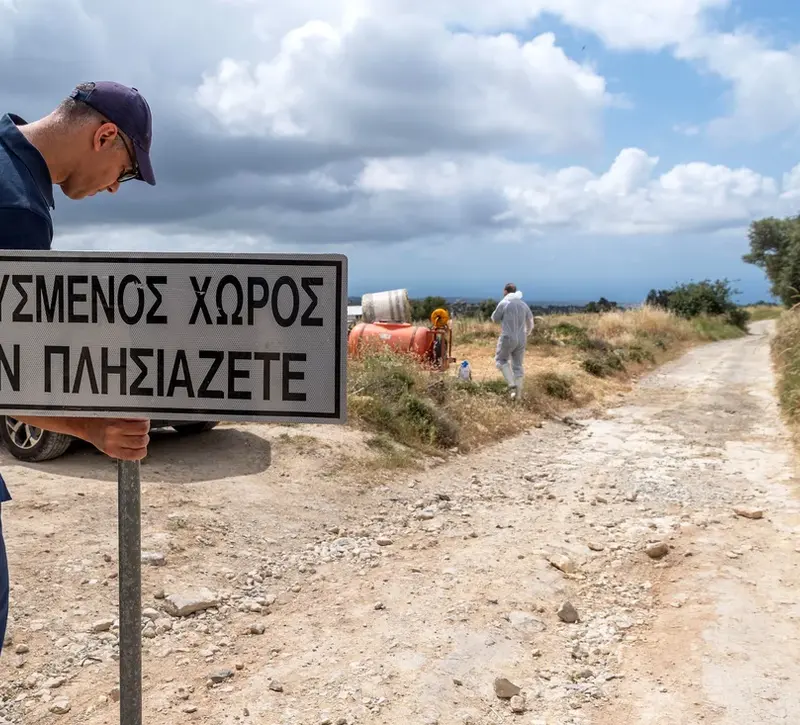 Ανησυχία εξέφρασε ο κοινοτάρχης Πάχνας μετά τον εντοπισμό κρούσματος αφθώδους πυρετού