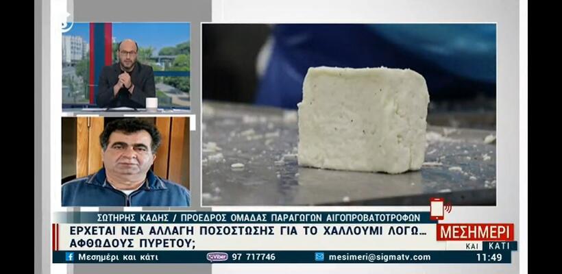 Ανησυχία για την ποσόστωση στο χαλλούμι - Τι λένε οι αιγοπροβατοτρόφοι