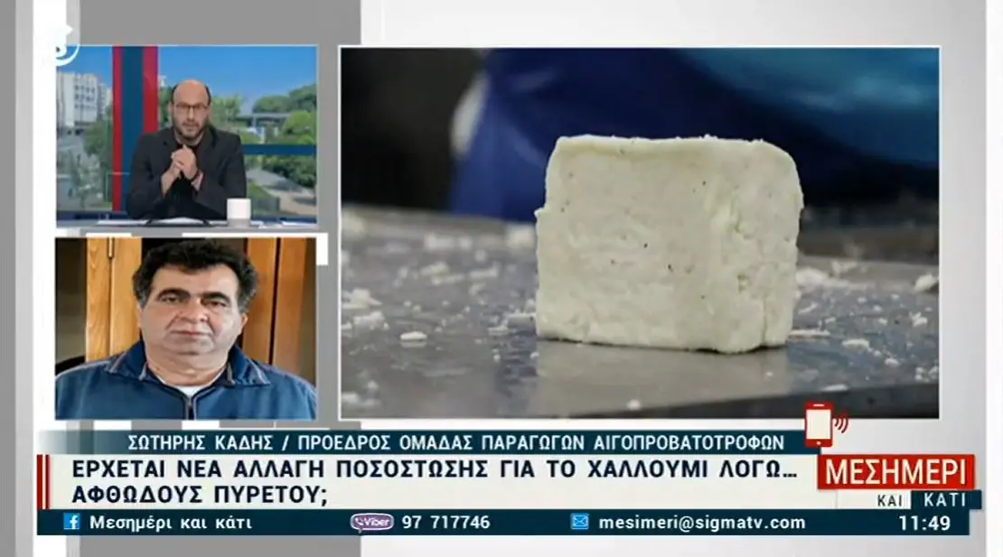 Ανησυχία για την ποσόστωση στο χαλλούμι - Τι λένε οι αιγοπροβατοτρόφοι