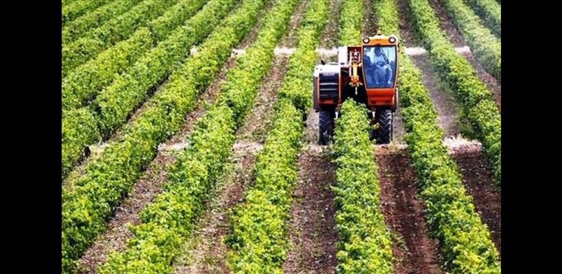 ΚΟΑΠ: Παράταση στις αιτήσεις για τις εκταρικές επιδοτήσεις