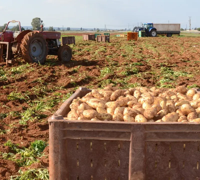 Τμ. Γεωργίας: Δέχεται αιτήσεις για ζημιές από ανεμοθύελλα σε Λάρνακα-Αμμόχωστο