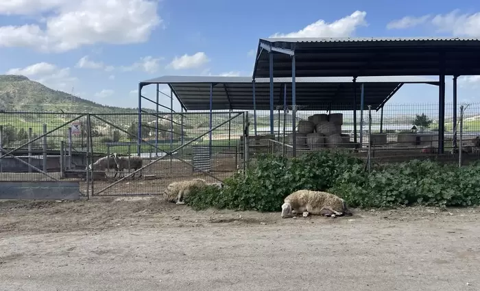 Ξεκίνησαν οι εμβολιασμοί – Αναμένονται σήμερα ακόμα 50 χιλ. δόσεις