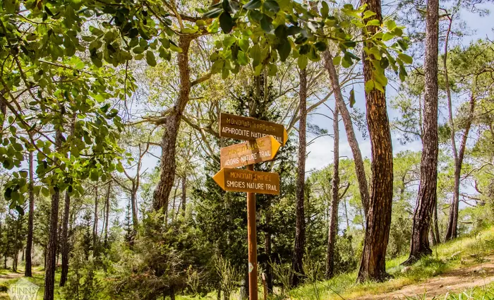 Η Κύπρος στις επιλογές του Travel + Leisure με διαφορετικό «διαβατήριο»