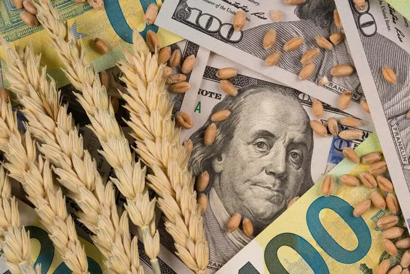 Σιτάρι: Φόβοι για νέο ράλι στις τιμές – Οι κίνδυνοι από τη Μαύρη Θάλασσα και τις καιρικές συνθήκες