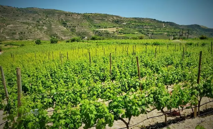 Καδής: Θα συνεχίσουμε τη φιλοαγροτική πολιτική