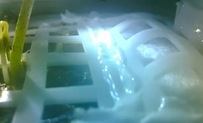 Λίγες μόνο ώρες επέζησαν τα φυτά στην σκοτεινή πλευρά της Σελήνης