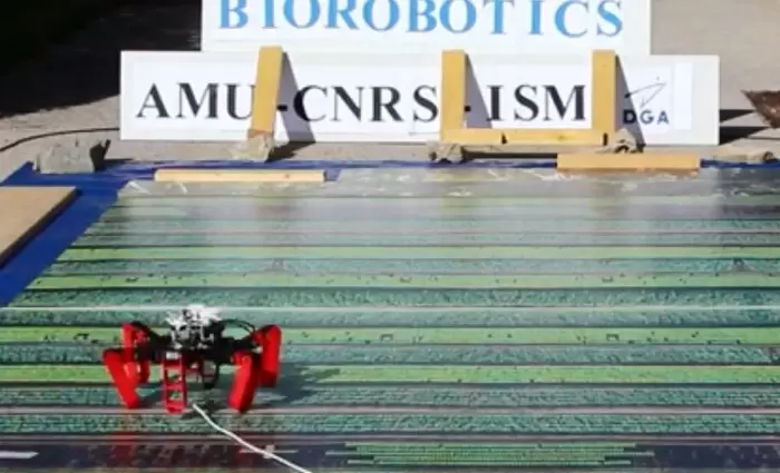 Κατασκεύασαν ρομπότ-αράχνη που δεν χρειάζεται ούτε GPS (vid)