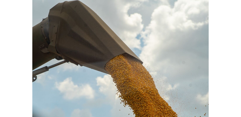 Κίνα: Σε υψηλό δυο μηνών το καλαμπόκι – Οι βροχές και τα προβλήματα μεταφοράς ανεβάζουν τις τιμές