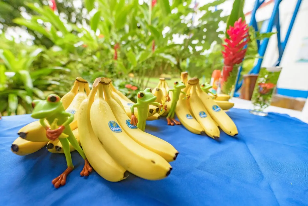 Δικαστική απόφαση για Chiquita: Γιατί αναγκάζεται να πληρώσει $38,3 εκατ. σε αποζημιώσεις