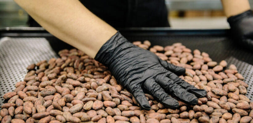 Κακάο: Σε έξαρση το λαθρεμπόριο λόγω των υψηλών τιμών - Ανησυχούν οι έμποροι