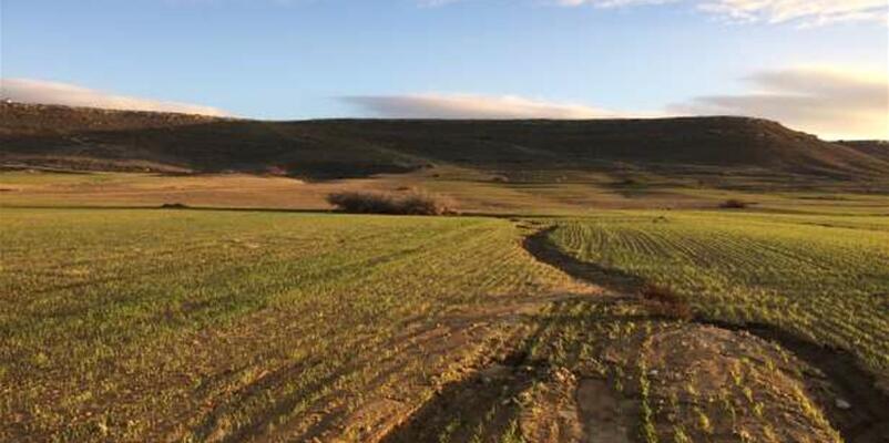 Συνεργατισμός: Στο σφυρί χαρτοφυλάκιο 24 ακινήτων στο Τσέρι