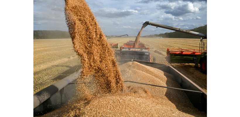 Τρόφιμα: Γιατί ο κόσμος άρχισε να δημιουργεί και πάλι κρίσιμα αποθέματα