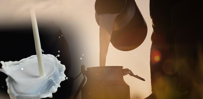 Γάλα: Στα 160 εκατ. τόνους η ευρωπαϊκή παραγωγή - Αιγοπρόβειο το 1/5 στην Κύπρο