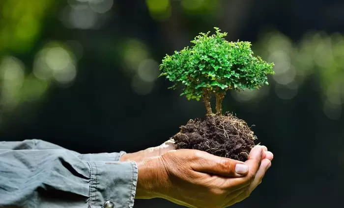 Οκτώ εισηγήσεις για την πράσινη ανάπτυξη
