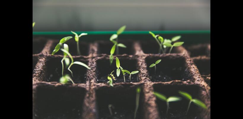 Ποιότητα: Η παράμετρος που παραγνωρίζουμε - Μέρος B΄