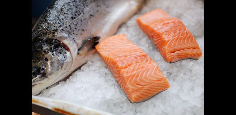 Ο σολομός πέφτει 