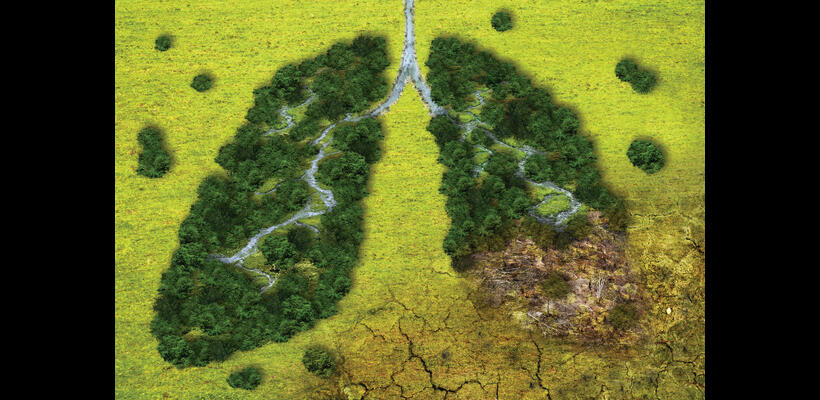 BACK TO THE FUTURE: Βιώσιμη ανάπτυξη και κλιματική κρίση