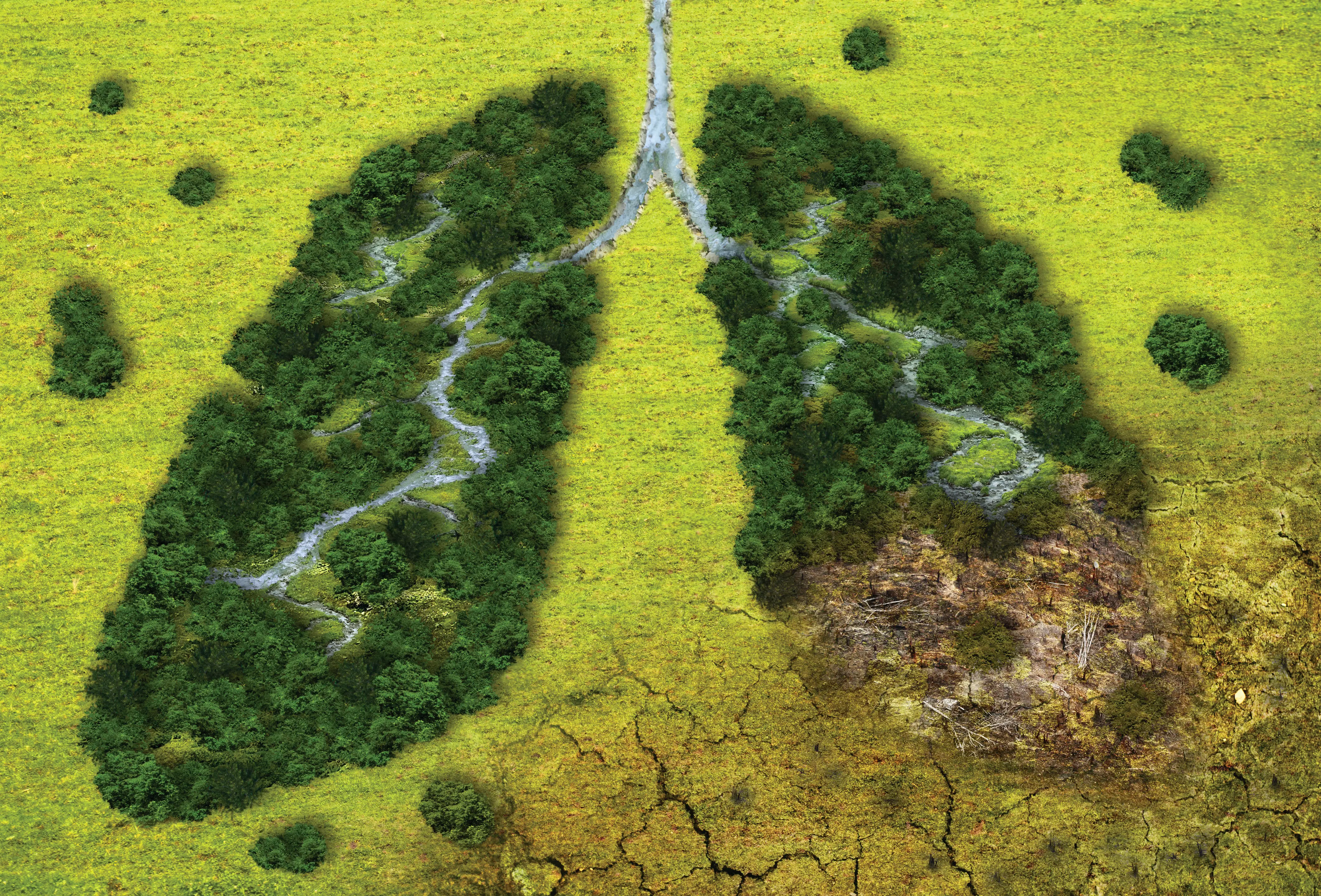 BACK TO THE FUTURE: Βιώσιμη ανάπτυξη και κλιματική κρίση