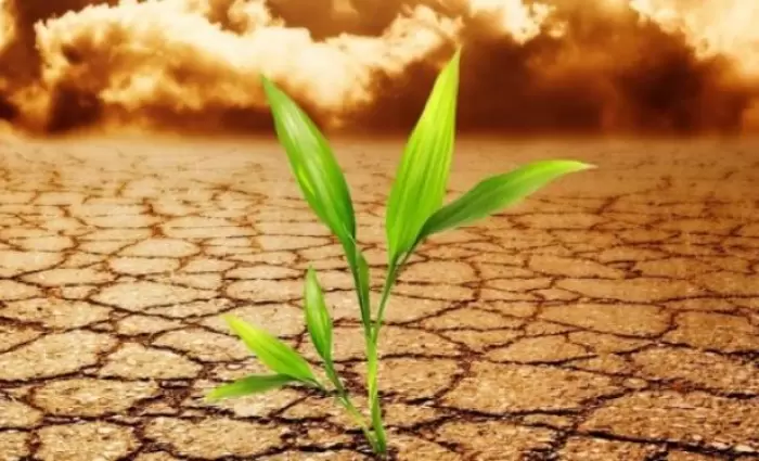 ΟΠΟΚ: Η Κύπρος είναι ήδη θύμα των κλιματικών αλλαγών