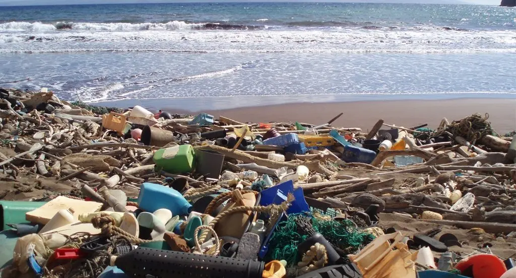 Zero Waste Beach: Δράση ουσίας,  με μακροπρόθεσμα αποτελέσματα