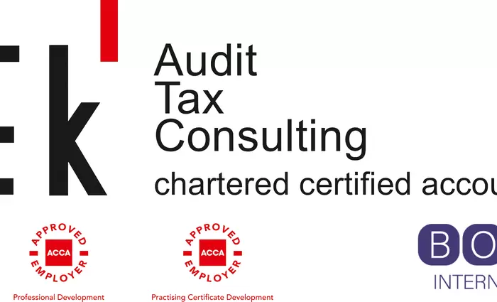 PEK LTD: Audit, tax, consulting