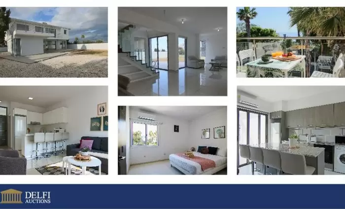 Delfi Auctions: Ήρθαν για να μείνουν οι ηλεκτρονικές δημοπρασίες