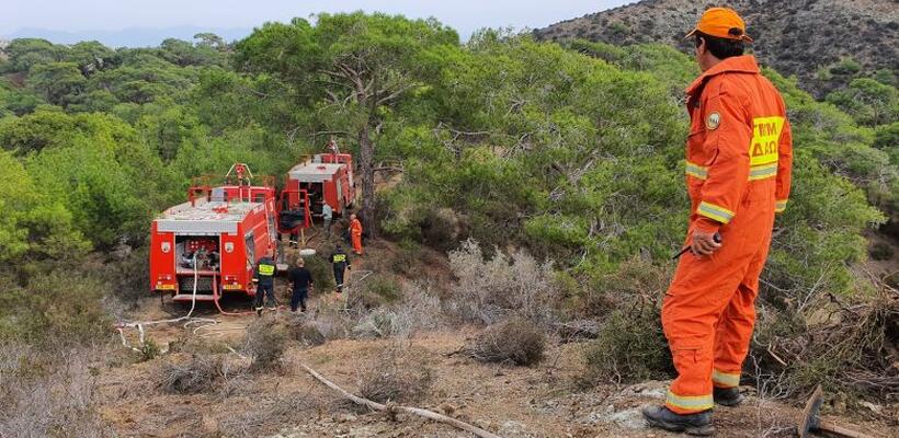 20 κενές θέσεις εργασίας Α5 κλίμακας στο Τμήμα Δασών