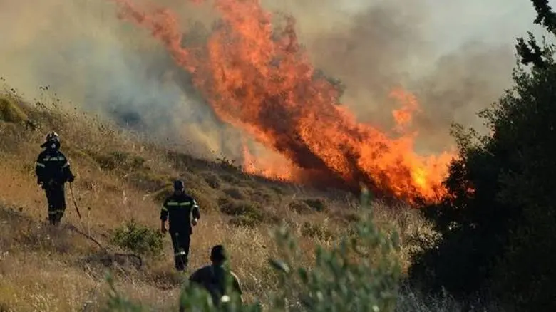 Υποβολή ζημιών από τις πυρκαγιές στο Τμήμα Γεωργίας