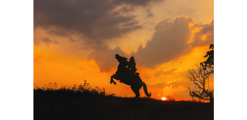 The New Sheriff in Town