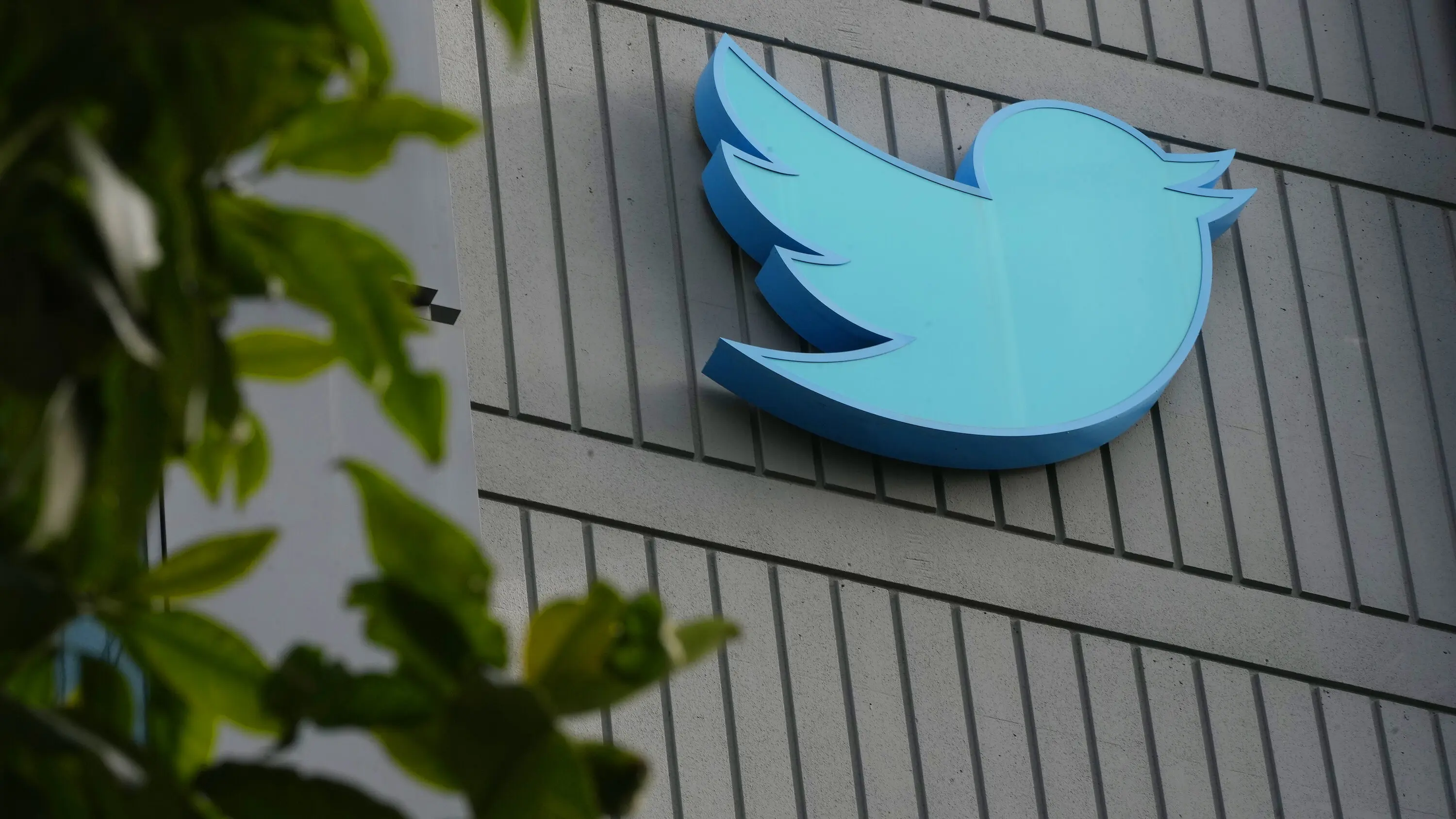 Twitter: Νέες απολύσεις στο τμήμα που ελέγχει το περιεχόμενο σε Ευρώπη και Ασία
