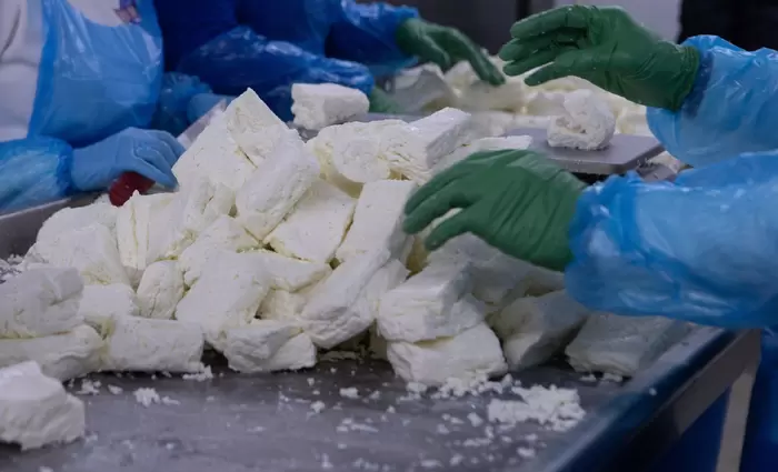 Καμπανάκι και από τυροκόμους: Ζητούν υπευθυνότητα, συντονισμό και άμεση δράση για αφθώδη πυρετό