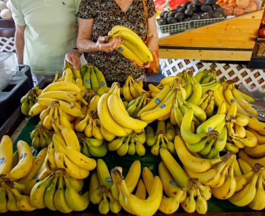 Chiquita: Έρχονται αυξήσεις στις τιμές της μπανάνας – Η απειλή του Ελ Νίνιο και το δύσκολο 2027