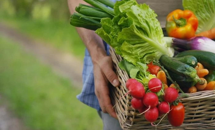 FAO: Μια παρατεταμένη κρίση στα Στενά του Ορμούζ θέτει σε κίνδυνο τα αγροδιατροφικά συστήματα