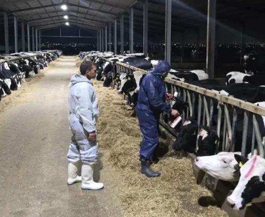 Αφθώδης πυρετός: Επιπτώσεις και μέτρα στο επίκεντρο συνάντησης ΚΟΑΠ - Στ. Μαλά