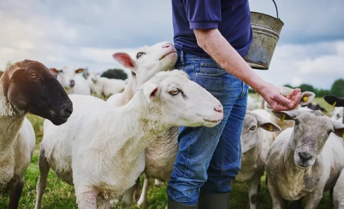 Η κινητοποίηση των κτηνοτρόφων θα εξαρτηθεί από τη συνάντηση με το Υπ. Γεωργίας