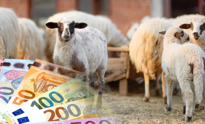 Πράσινο φως από το Υπουργικό για αποζημιώσεις €35,6 εκατ. στους κτηνοτρόφους