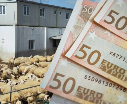 Διευκρινίσεις για τις αποζημιώσεις των κτηνοτρόφων - Πάνω από €35,6 εκατ. για στήριξη και ανασυγκρότηση
