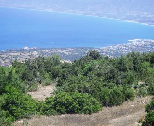 Ανοίγουν οι αιτήσεις για τα αντισταθμιστικά μέτρα στον Ακάμα - Έως €6.600 τον χρόνο για ιδιοκτήτες γης